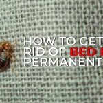 The Challenges of Bed Bug Elimination in Multi-Unit Dwellings